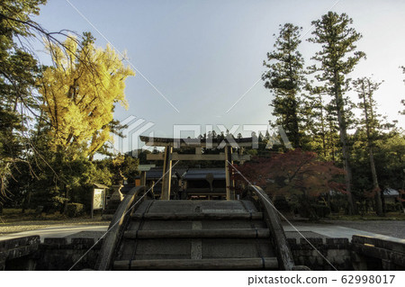 可以看到滋賀縣大田大社的鼓橋和鳥居門的秋天風景 62998017