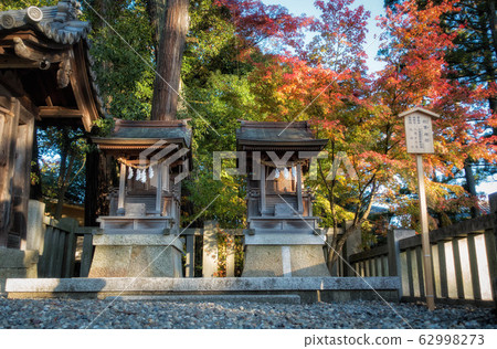Akiha Shrine (right) Atago Shrine (left) and autumn leaves scenery at Taga Taisha Shrine, Shiga Prefecture Akiha Shrine (right) Atago Shrine (left) and autumn leaves scenery at Taga Taisha Shrine, Shiga Prefecture 62998273
