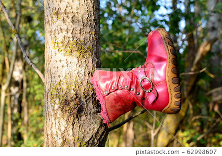 Children's shoes hanging on a tree in the forest. 62998607