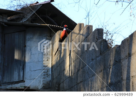 北漢山, 國家公園, 風景 62999489