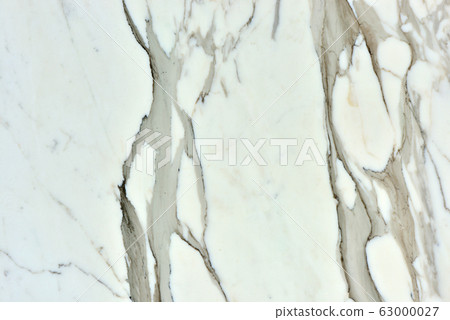 Real natural " Calacatta Borghini " texture Real natural " Calacatta Borghini " texture 63000027