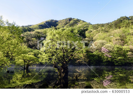 Spring in the main region Spring in the main region 63000553