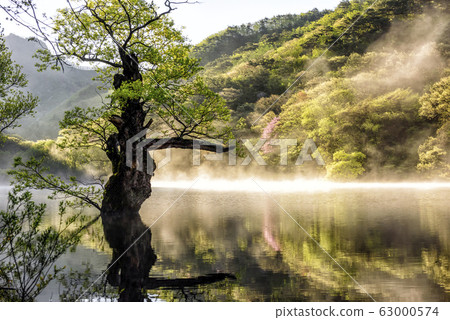 Spring in the main region Spring in the main region 63000574