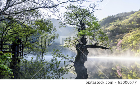 Spring in the main region 63000577