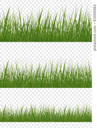 Realistic green grass Realistic green grass 63000862