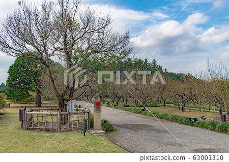 Mito Kairakuen Mito Kairakuen 63001310