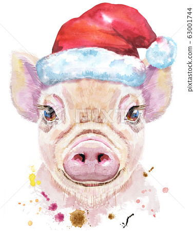 Watercolor portrait of mini pig in a Santa hat Watercolor portrait of mini pig in a Santa hat 63001744