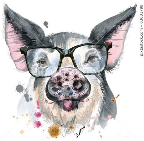 Watercolor portrait of pig with glasses for Watercolor portrait of pig with glasses for 63001799