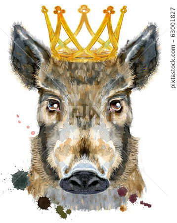 Watercolor portrait of wild boar with golden crown 63001827