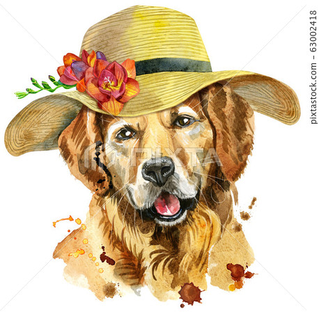 Watercolor portrait of golden retriever with a Watercolor portrait of golden retriever with a 63002418