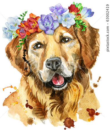Watercolor portrait of golden retriever with Watercolor portrait of golden retriever with 63002419