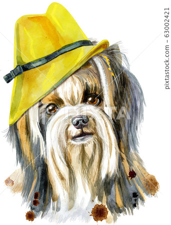 Watercolor portrait of yorkshire terrier breed dog Watercolor portrait of yorkshire terrier breed dog 63002421