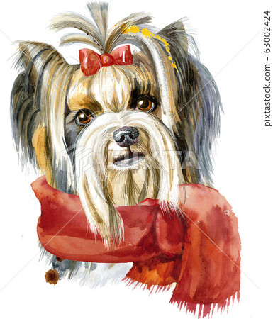 Watercolor portrait of yorkshire terrier breed dog Watercolor portrait of yorkshire terrier breed dog 63002424
