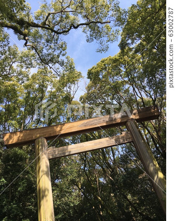 Torii torii 63002787