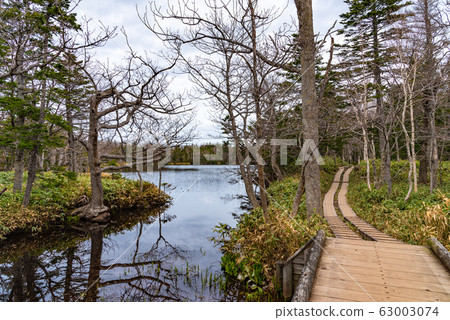 《Shiretoko National Park》 Natural scenery of Shiretoko Goko Lakes - Mountains, forests and lakes - Three lakes 63003074