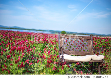 Western style chair in the strawberry candle field 63003244