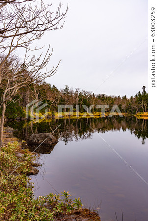 《Shiretoko National Park》 Natural scenery of Shiretoko Goko Lakes, mountains, forests, and lakes, two lakes 63003259