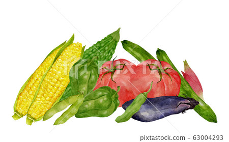 Summer vegetables watercolor illustration 63004293