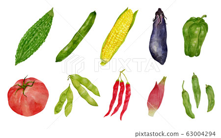 10種夏季蔬菜水彩插圖 10種夏季蔬菜水彩插圖 63004294