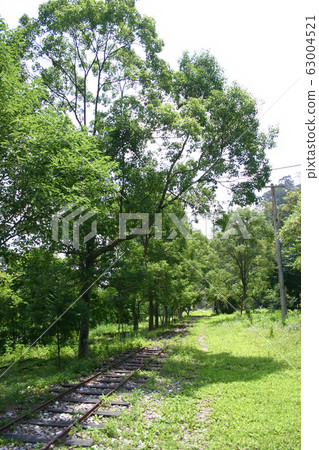 Sunny view of the Lintianshan Forestry Culture Sunny view of the Lintianshan Forestry Culture 63004521