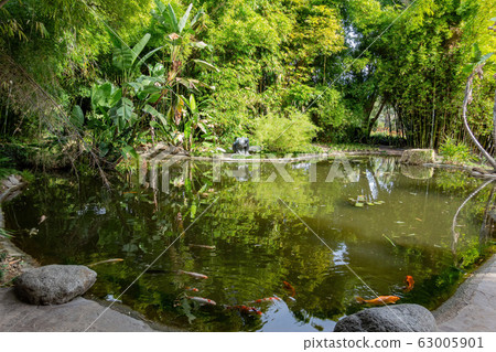 Beautiful landscape of the famous Huntington Beautiful landscape of the famous Huntington 63005901