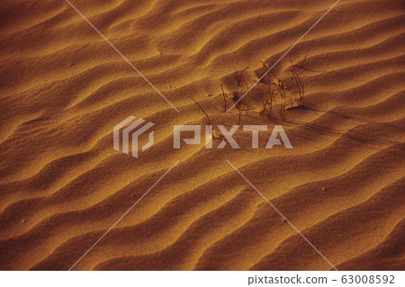 Beautiful orange sand at sunset as a background 63008592