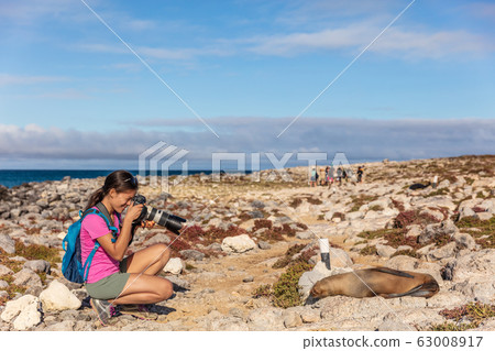 Galapagos tourist taking pictures of Sea Lion on North Seymour 63008917
