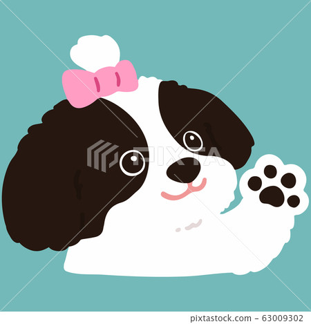 Shaking hands Shih Tzu No main line Shaking hands Shih Tzu No main line 63009302