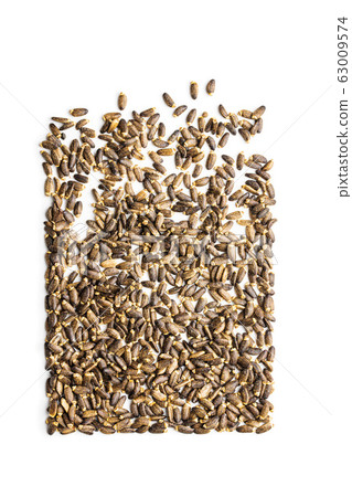 Milk thistle seeds. 63009574