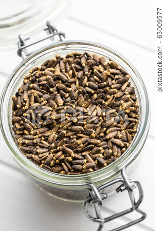 Milk thistle seeds. Milk thistle seeds. 63009577