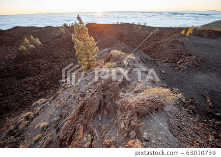 Rocky terrain above the clouds 63010739