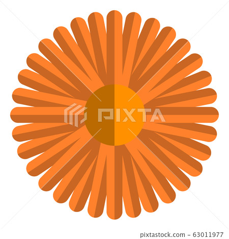 Isolated beautiful flower 63011977