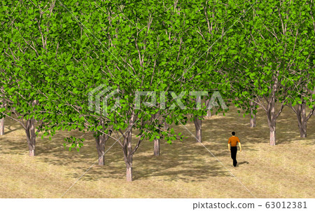 Forest and people Forest and people 63012381