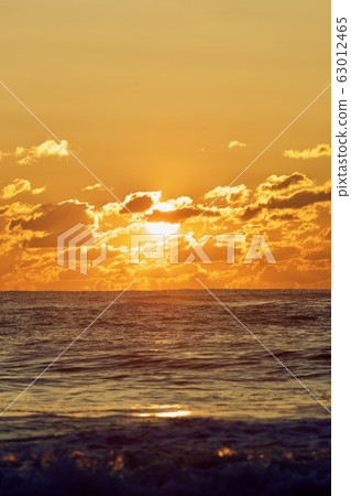 3月上旬日出茨城縣日立市九ham濱海灘 63012465