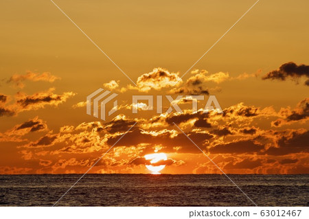 3月上旬日出茨城縣日立市九ham濱海灘 63012467