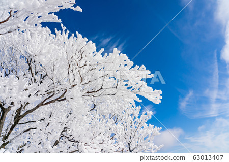 Mie Prefecture Winter Gozaisho Summit Rime Rime Ice Mie Prefecture Winter Gozaisho Summit Rime Rime Ice 63013407