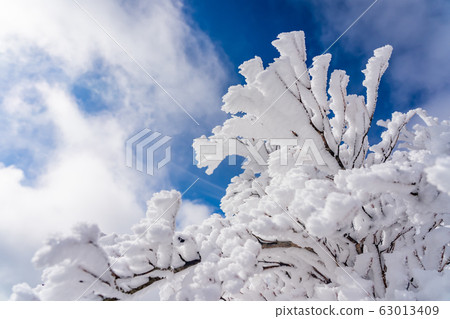 三重縣冬季Gozaisho峰會Rime Rime冰 三重縣冬季Gozaisho峰會Rime Rime冰 63013409