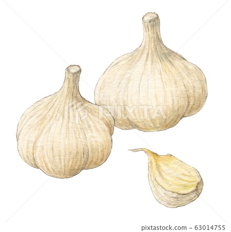 Shallots Watercolor Clipart, Watercolor, Vegetable, Hand Drawn PNG  Transparent Image and Clipart for Free Download