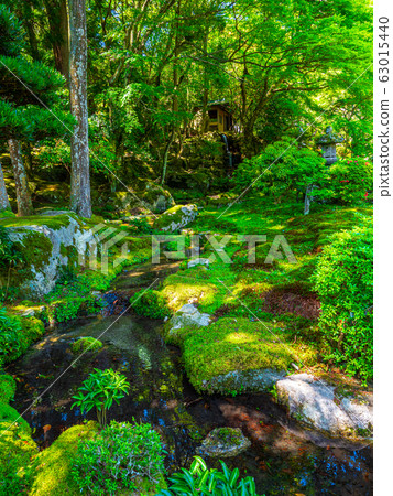 Fresh green former bamboo forest inn 63015440