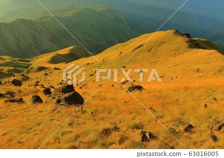 The hill that has pastures in the morning The hill that has pastures in the morning 63016005