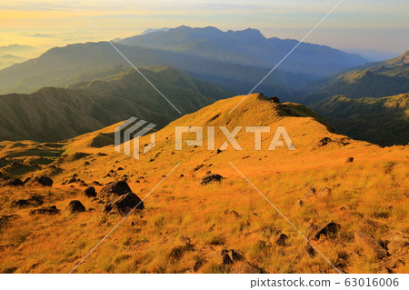 The grassland on the hills in the morning The grassland on the hills in the morning 63016006