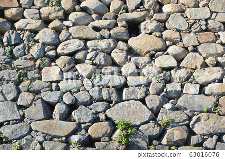 Ishigaki of Nakatsu Castle (Ninocho, Nakatsu City, Oita Prefecture) Ishigaki of Nakatsu Castle (Ninocho, Nakatsu City, Oita Prefecture) 63016076