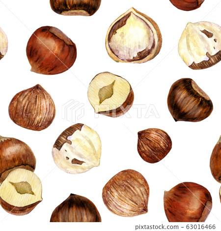 Watercolor hazelnuts pattern Watercolor hazelnuts pattern 63016466