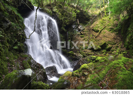 Okuda rope waterfall (Obama City, Fukui Prefecture) 63018865