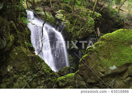 Okuda rope waterfall (Obama City, Fukui Prefecture) 63018866