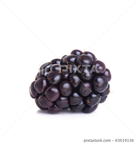 blackberry or fresh blackberry on a background 63019136