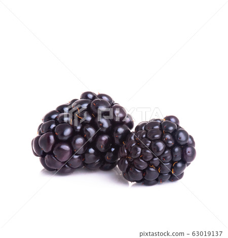 blackberry or fresh blackberry on a background 63019137