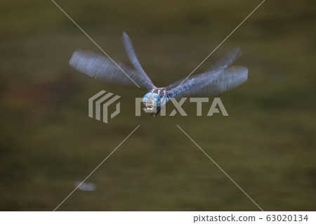 常見的小販 63020134