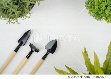 Gardening tools and small artificial tree on white background. Garden works concept. 63020758