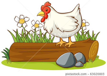 Isolated picture of chicken on the log 63020803